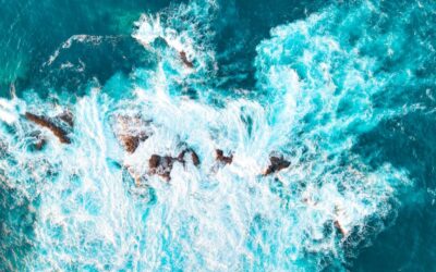 Shifting Tides, Steady Course